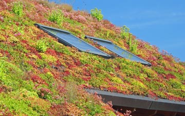 Rushmere St Andrew living roof systems
