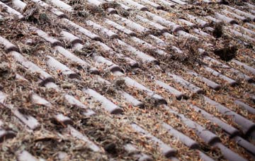 Rushmere St Andrew roof cleaning companies