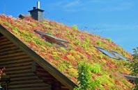gallery eco roofs